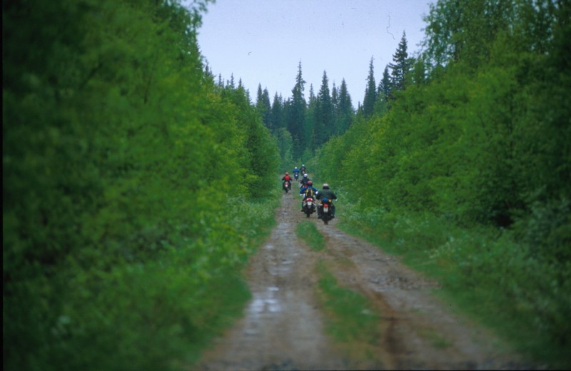 Allroad Tour jytisee eteenpin kohti Posiota jossakin Pyhityksen ja Kostonjrven seuduilla.<br>Thunder in the bushes.