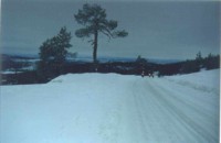 Road which rises to the top was icy and slippery. Riding downhill was most exciting.